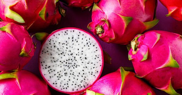 Como Plantar Pitaya: Guia Completo para Cultivar Esta Fruta Exótica