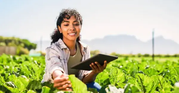 Agricultura Sustentável
