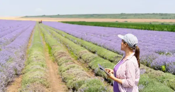 Agricultura de Precisão